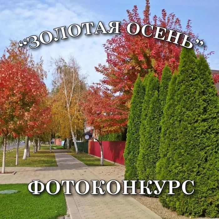 08ee3b71059be0c6a9d2435b3b3cd304.jpg