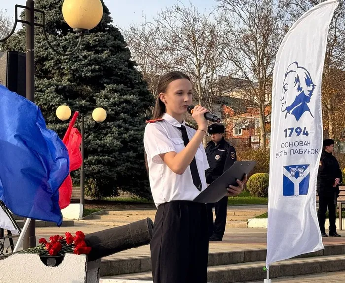 24.11 Суворов 5